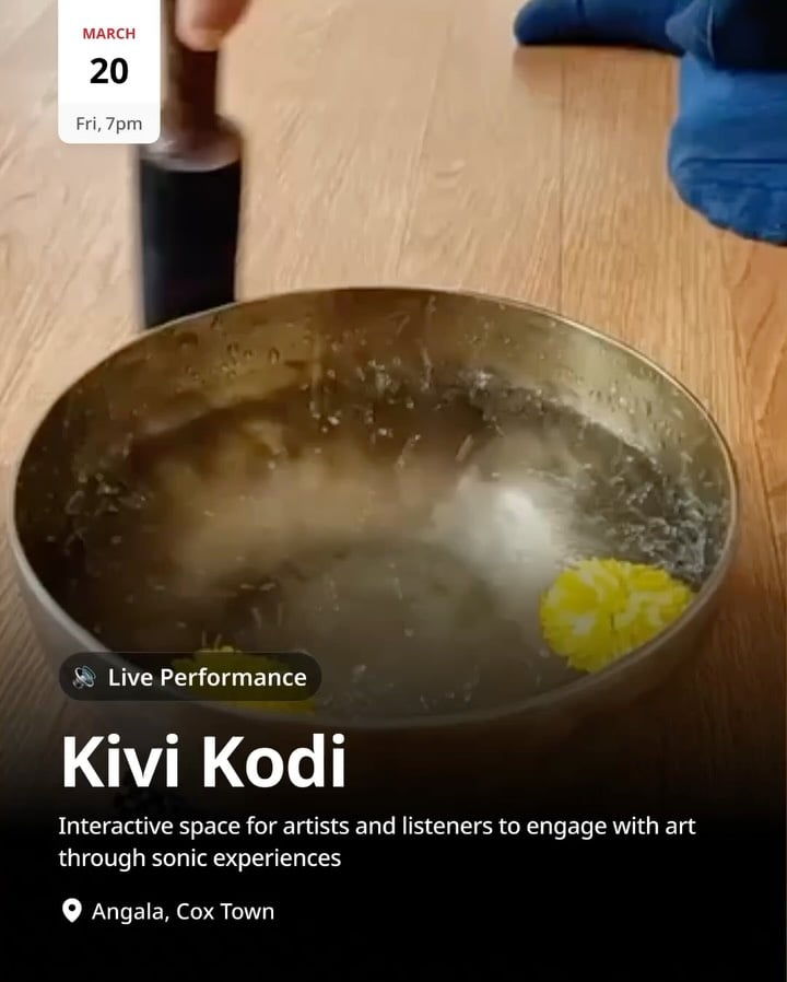 Kivi Kodi 1