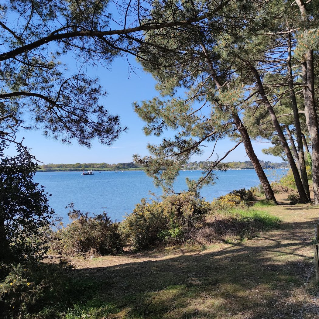 Parc du Golfe 2