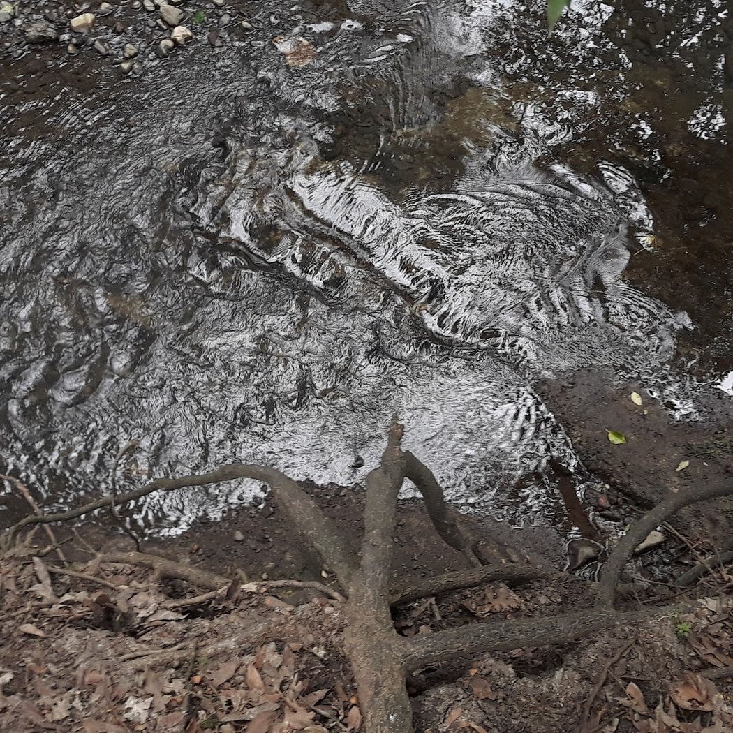 Santa Rosa Creek 3