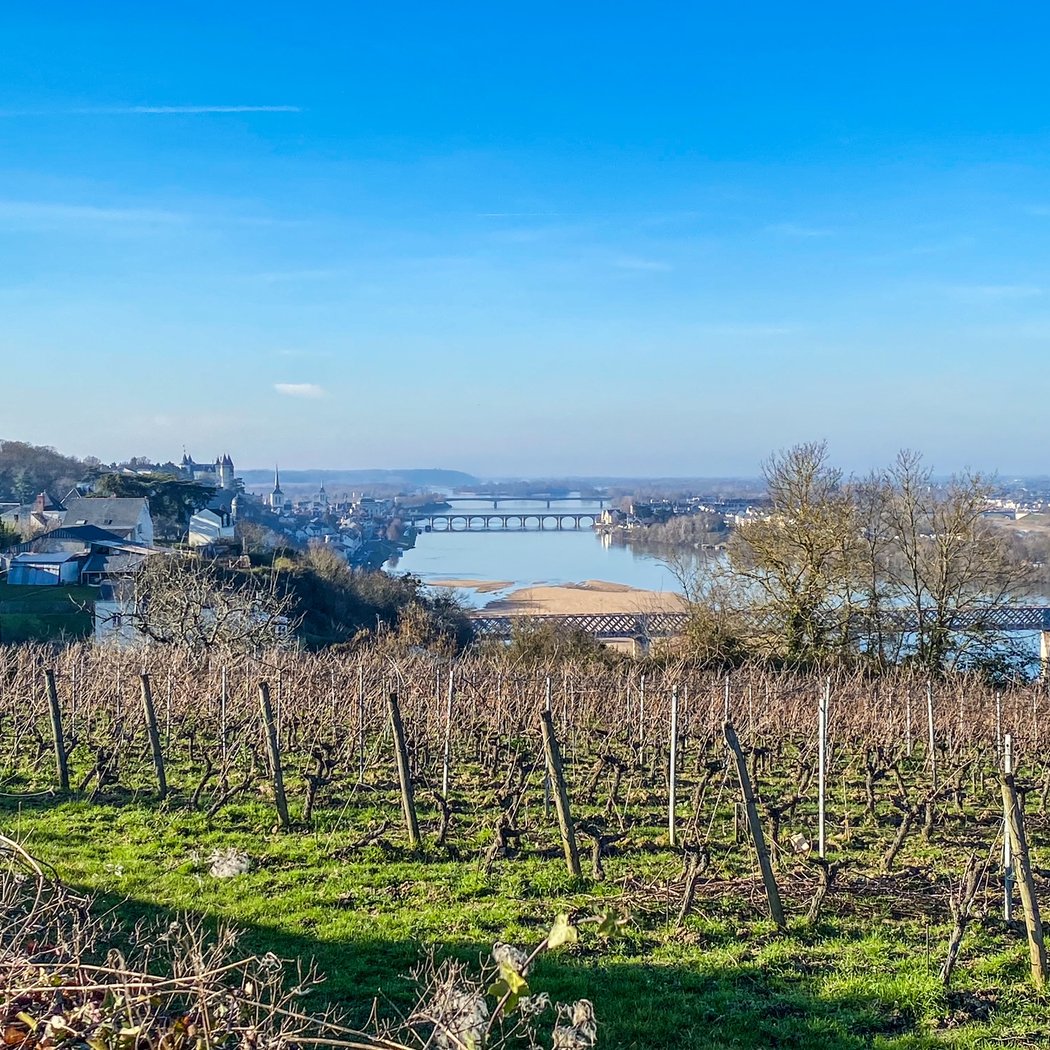 ATELIER DU 8 JUIN : LES VINS DE VIGNOBLES ANTHROPIQUES 3