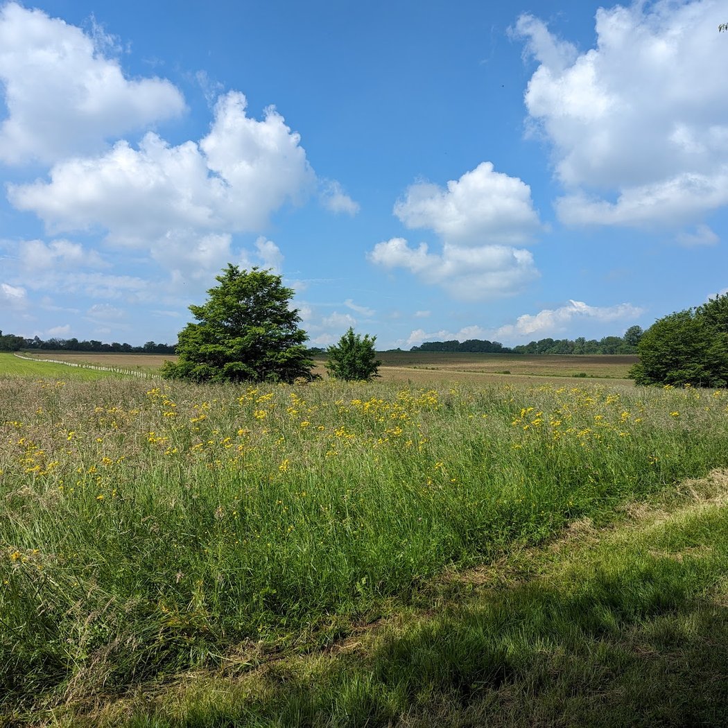 Parc de la Brosse 3
