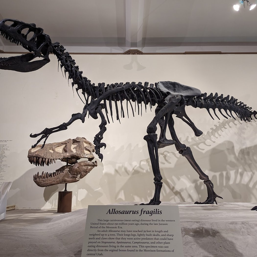 MSU Museum 1