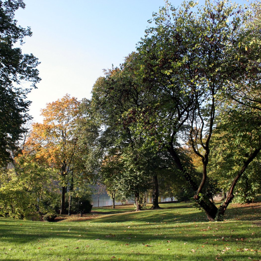 Parc des Beatus 3