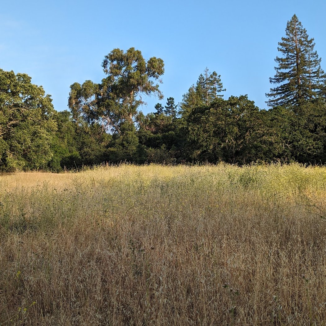 Frenchman's Park 2