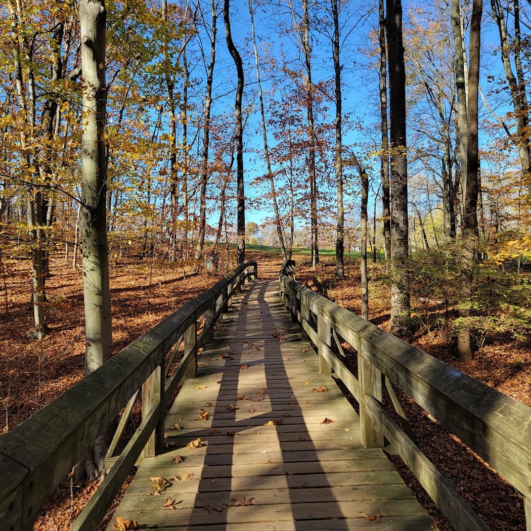 Holmdel Park 1
