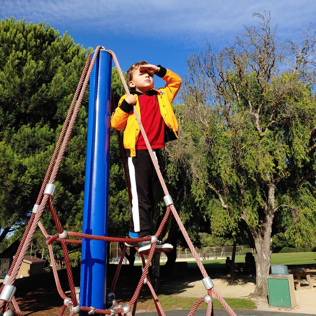 Commodore Park 1