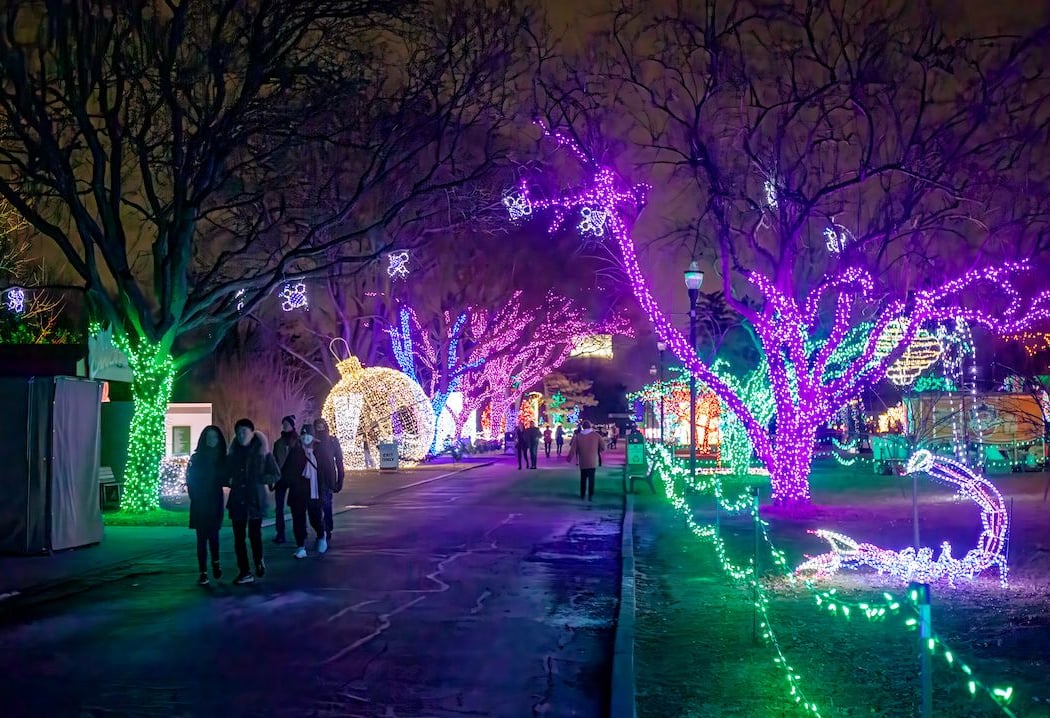 Wild Lights 2