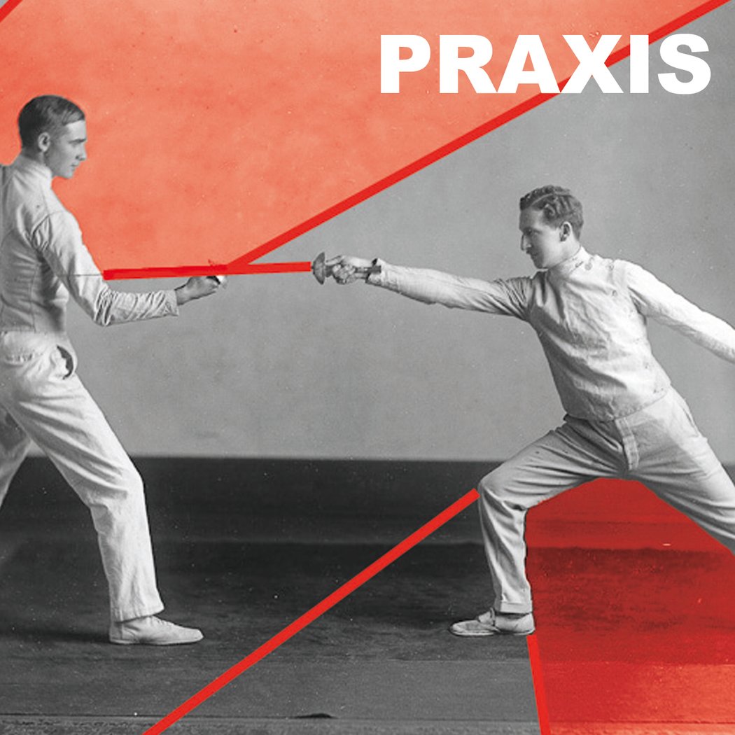 PRAXIS #8 1