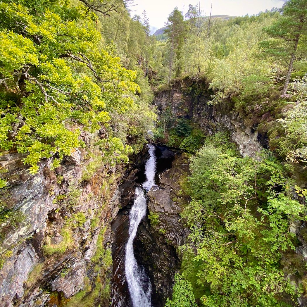Corrieshalloch Gorge National Nature Reserve (National Trust for Scotland) 3