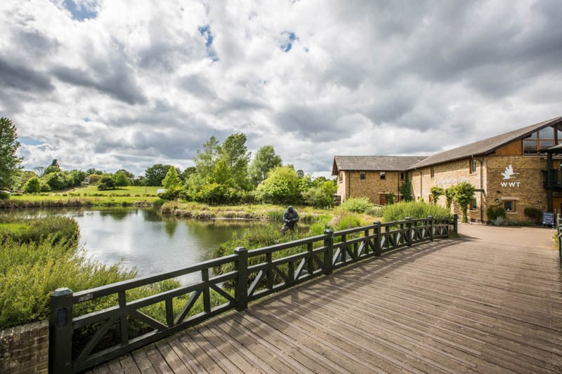 WWT London Wetland Centre 3