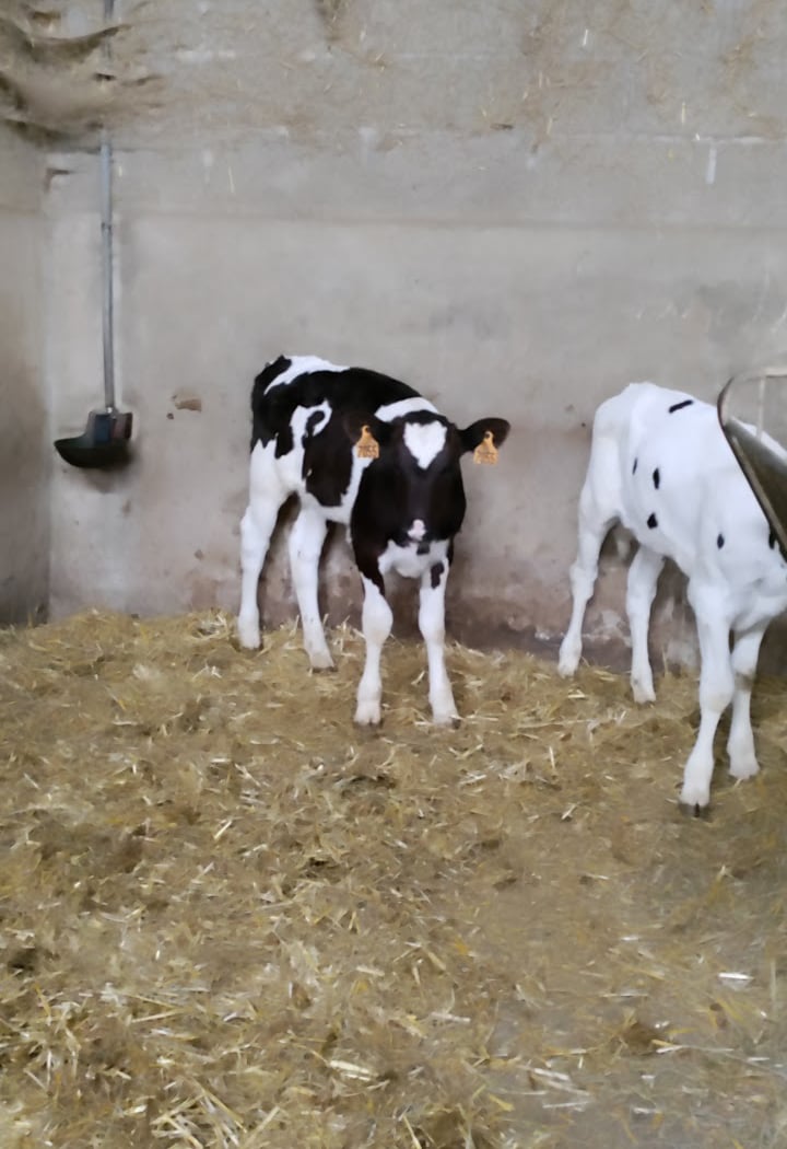 A la ferme pédagogique 2