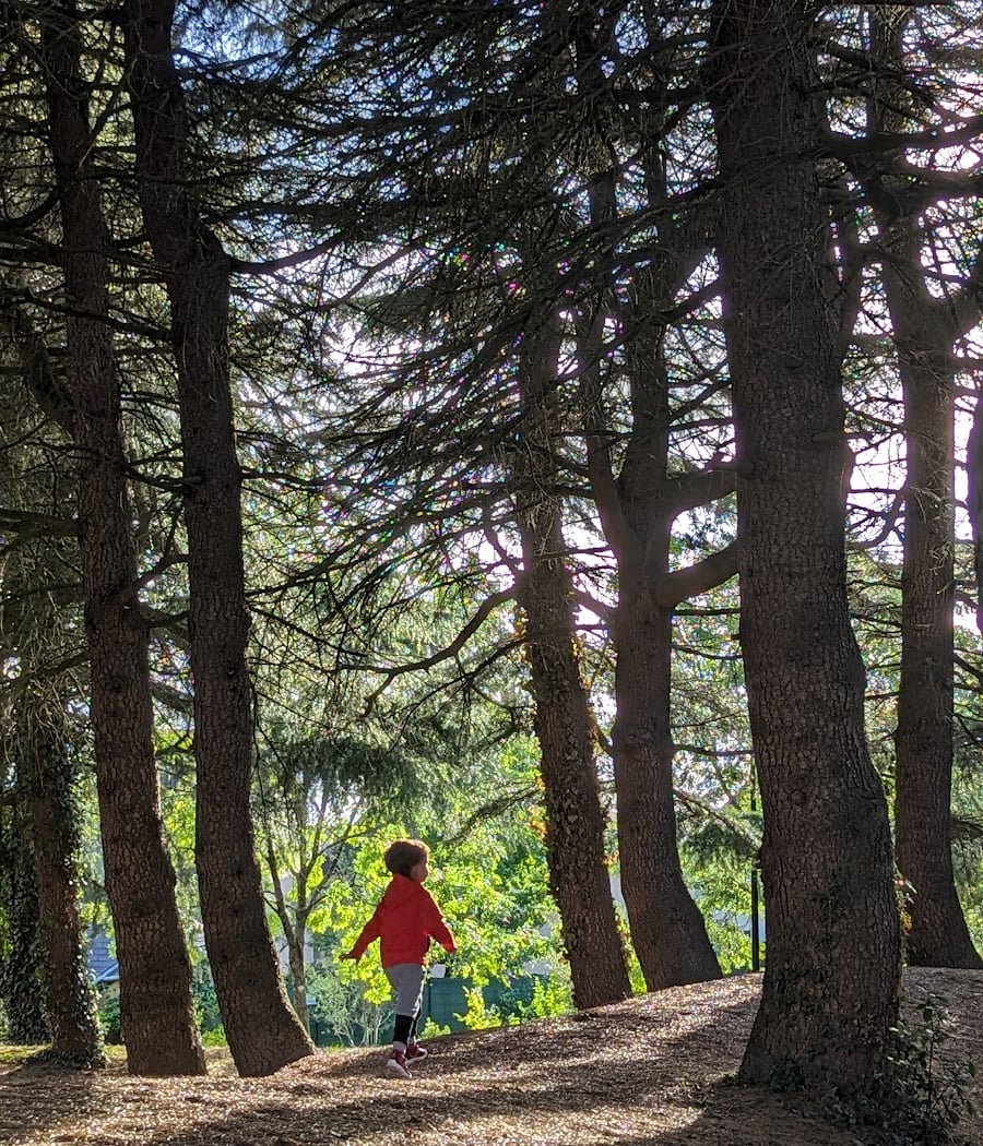 Parc de Preux 1