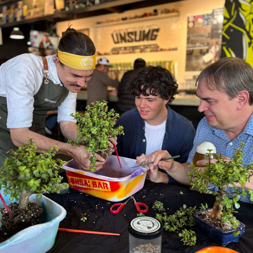 Bonsai Bar 1
