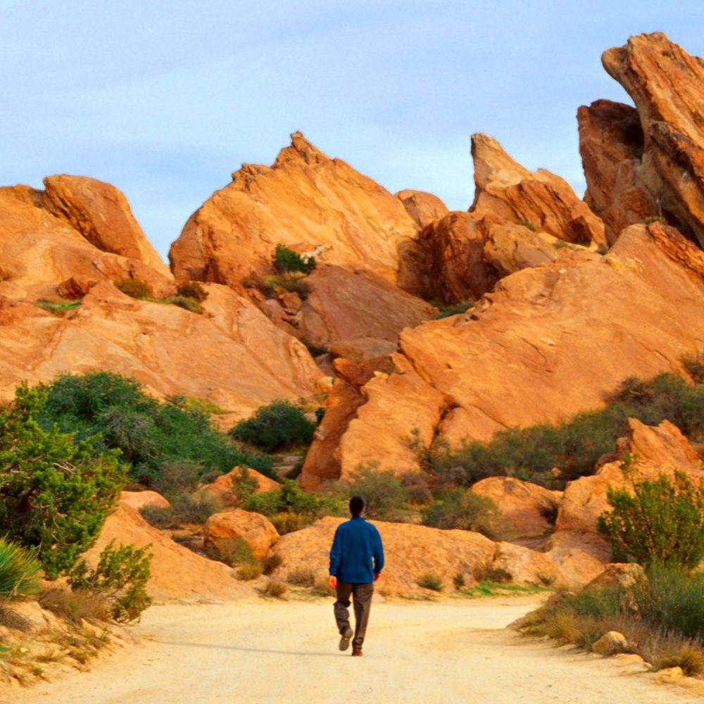 Vasquez Rocks Natural Area and Nature Center 4