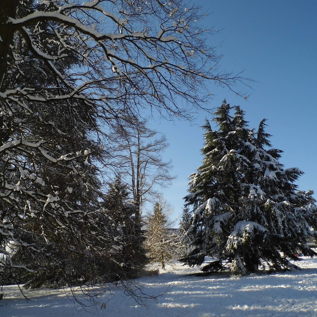 Parc du Chenil 3