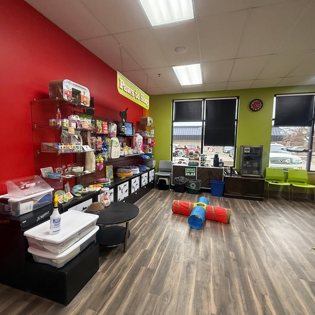 Tiny Lions Lounge & Adoption Center 4