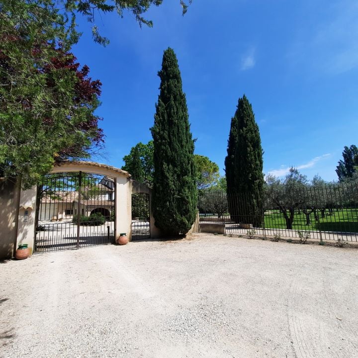 Famille Manganelli 3