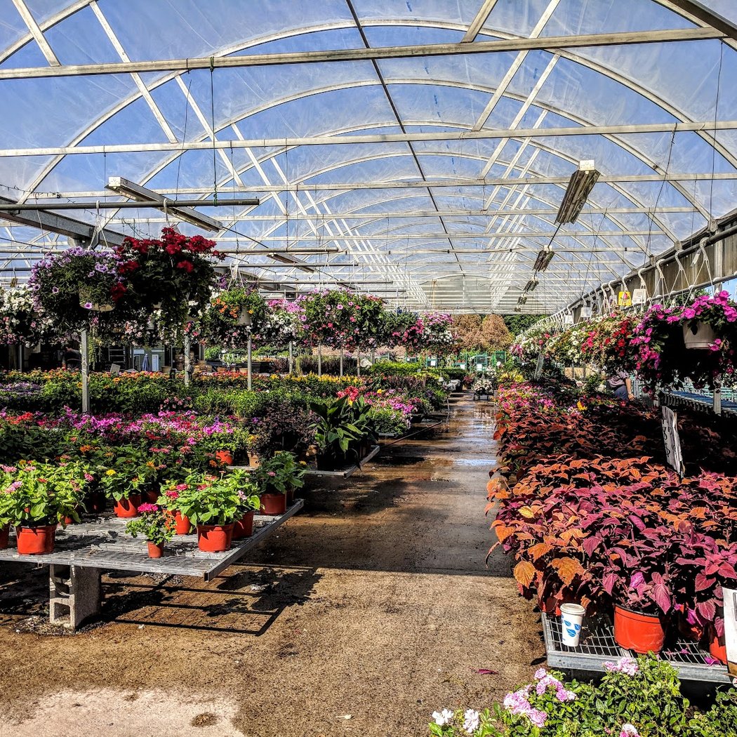Westchester Greenhouses & Farm 2