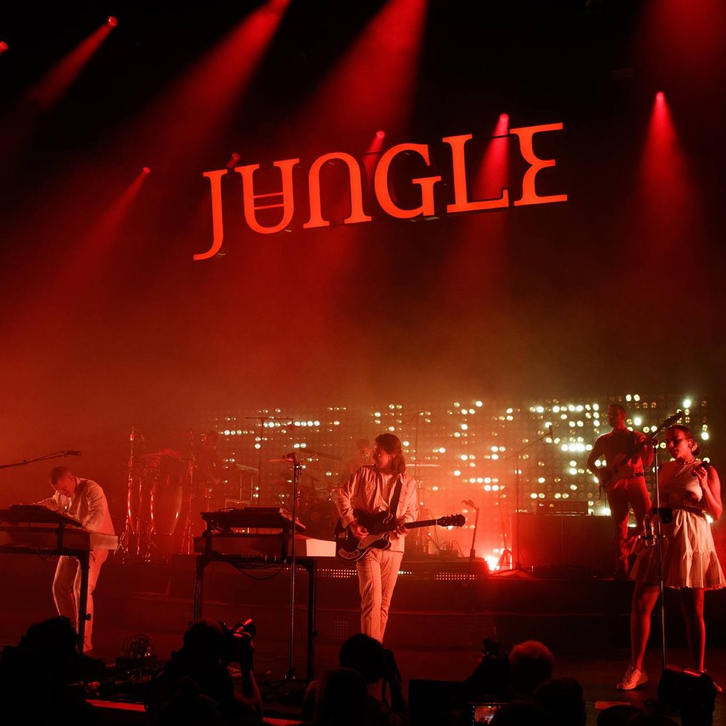 Jungle 3