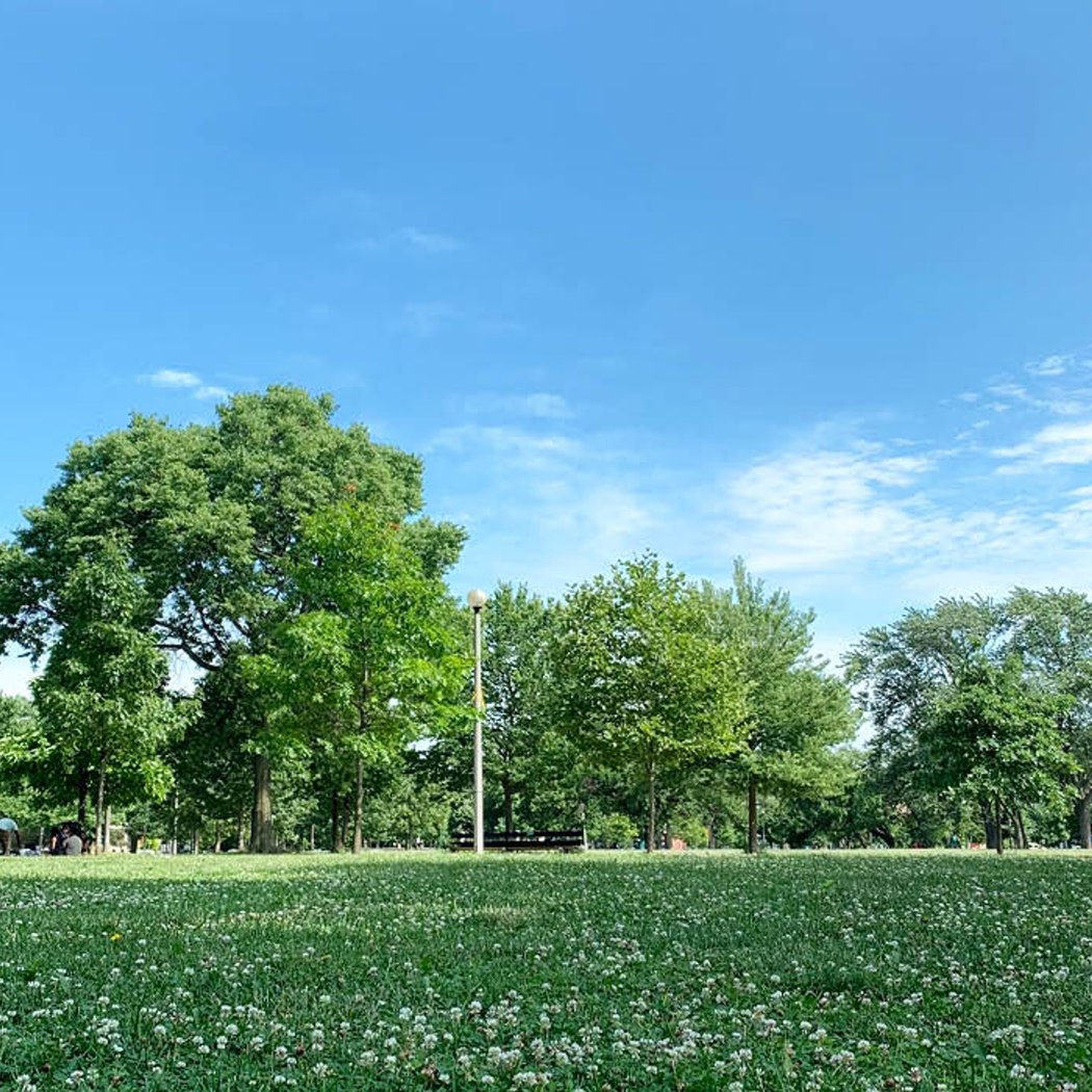 West Park 4