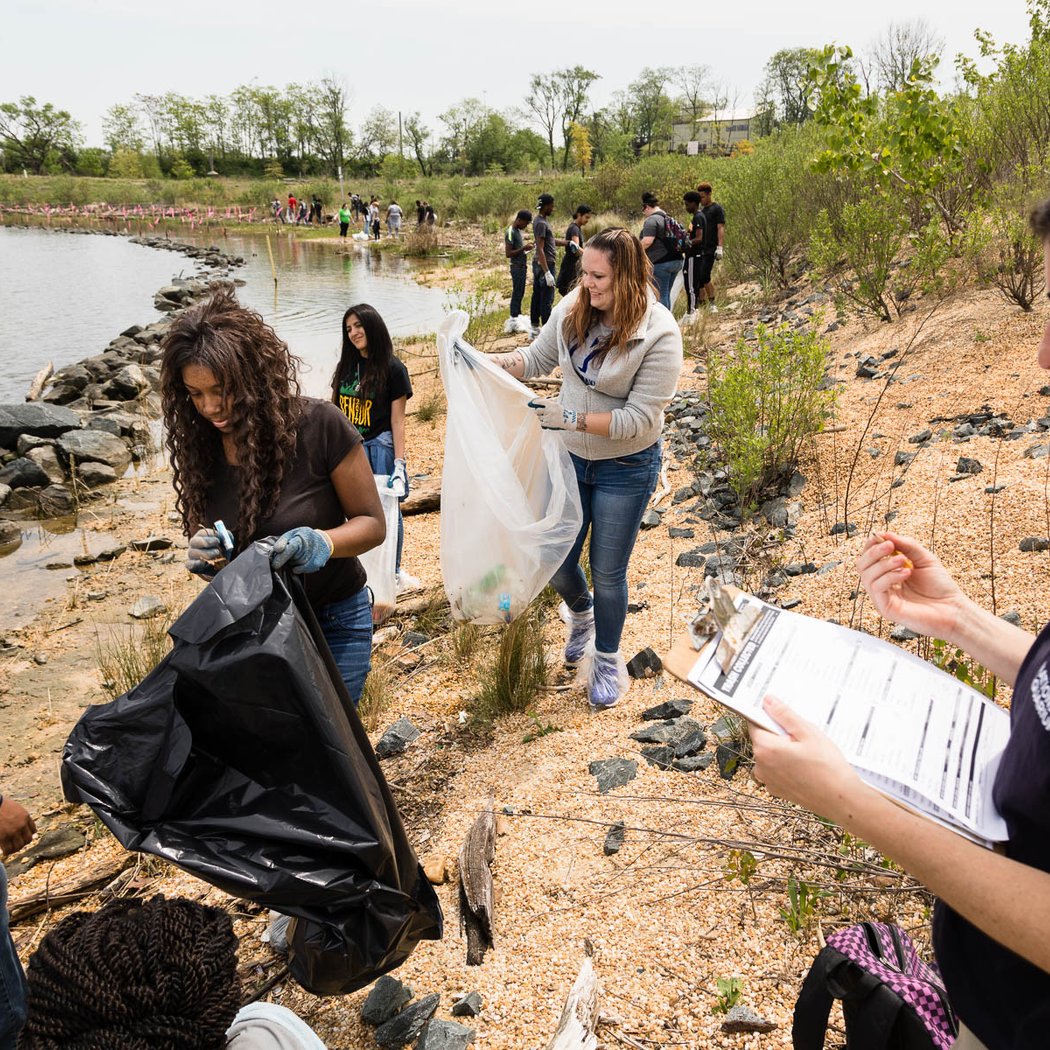 Community Shoreline Clean-Up 1
