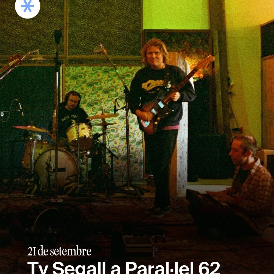 Ty Segall 1
