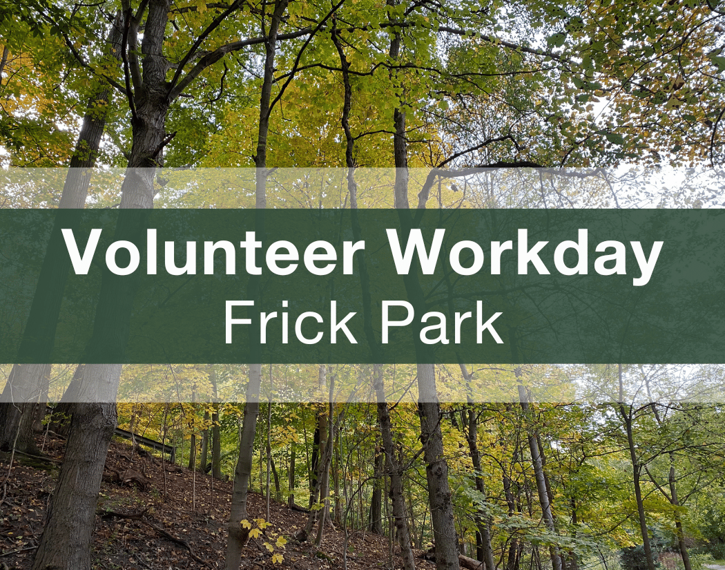 Frick Park Workday 1
