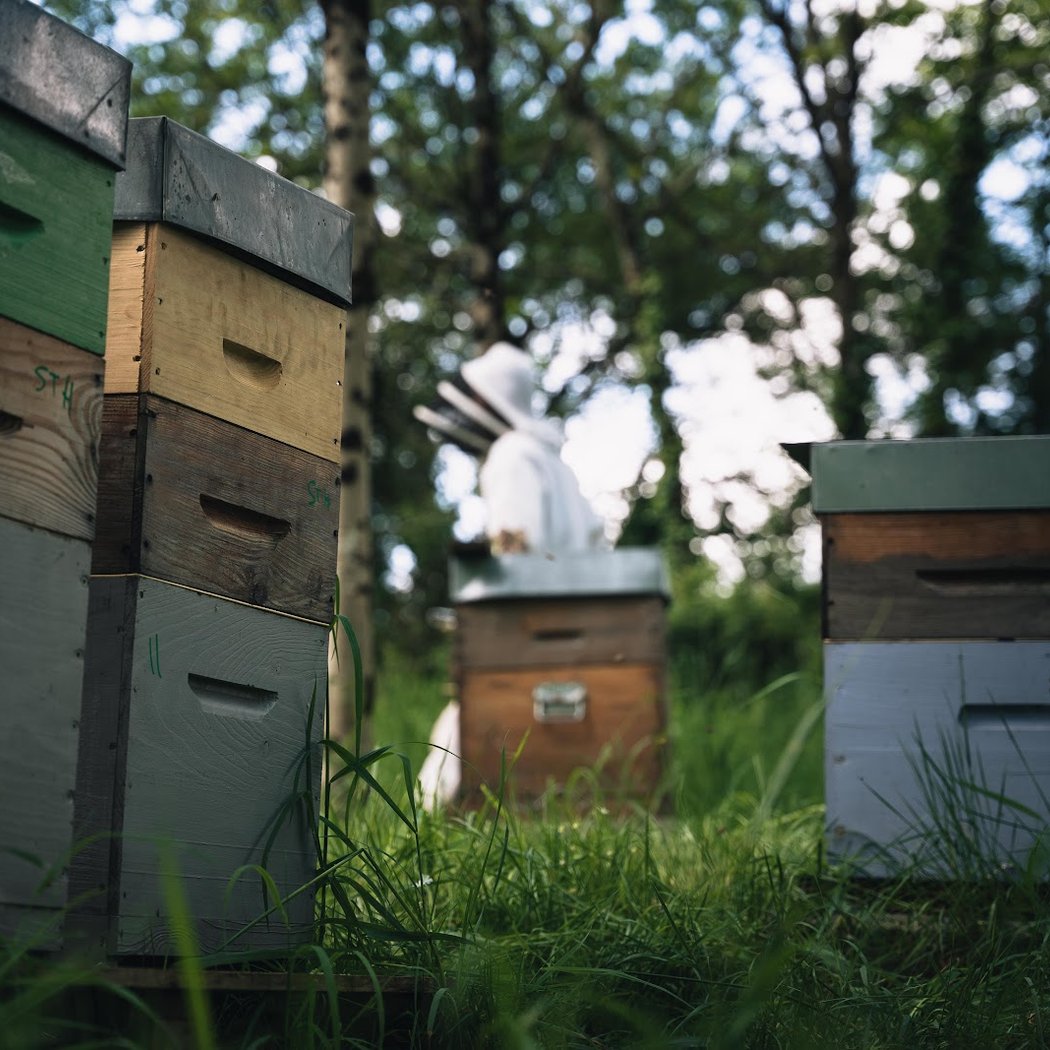 Abeilles & Secrets 2
