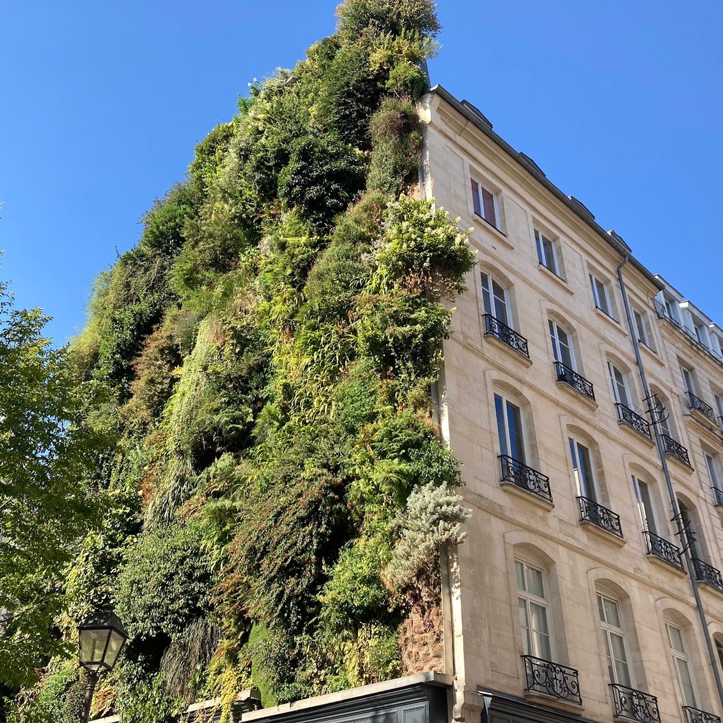 Oasis d'Aboukir 2