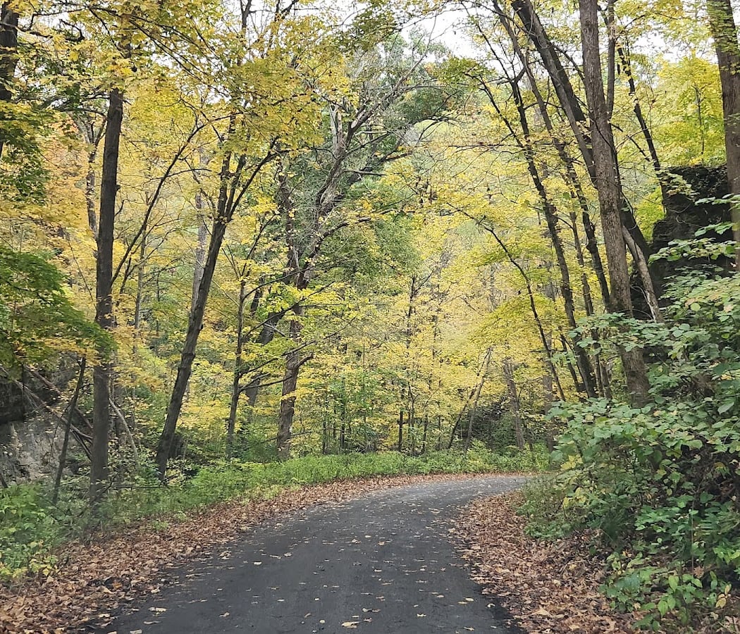 Pictured Rocks County Park 3