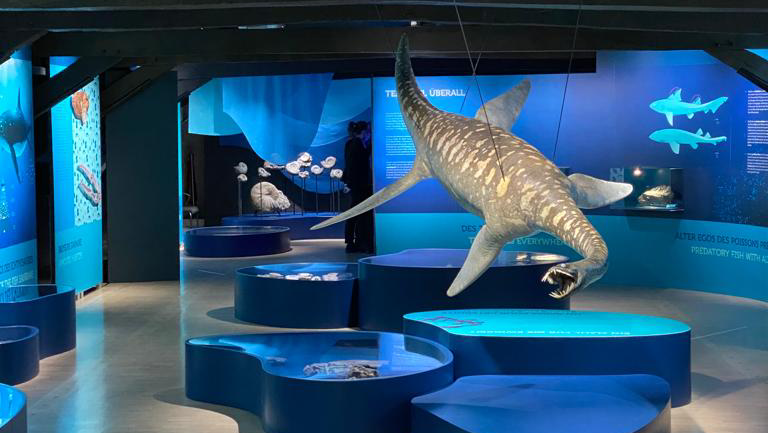 Luxembourg National Museum of Natural History 2