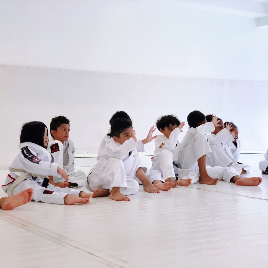 Gentle Art Studio - Lotus Club Brazilian Jiu Jitsu, Astoria BJJ 3