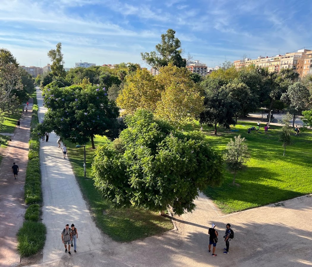 Jardín del Turia 1