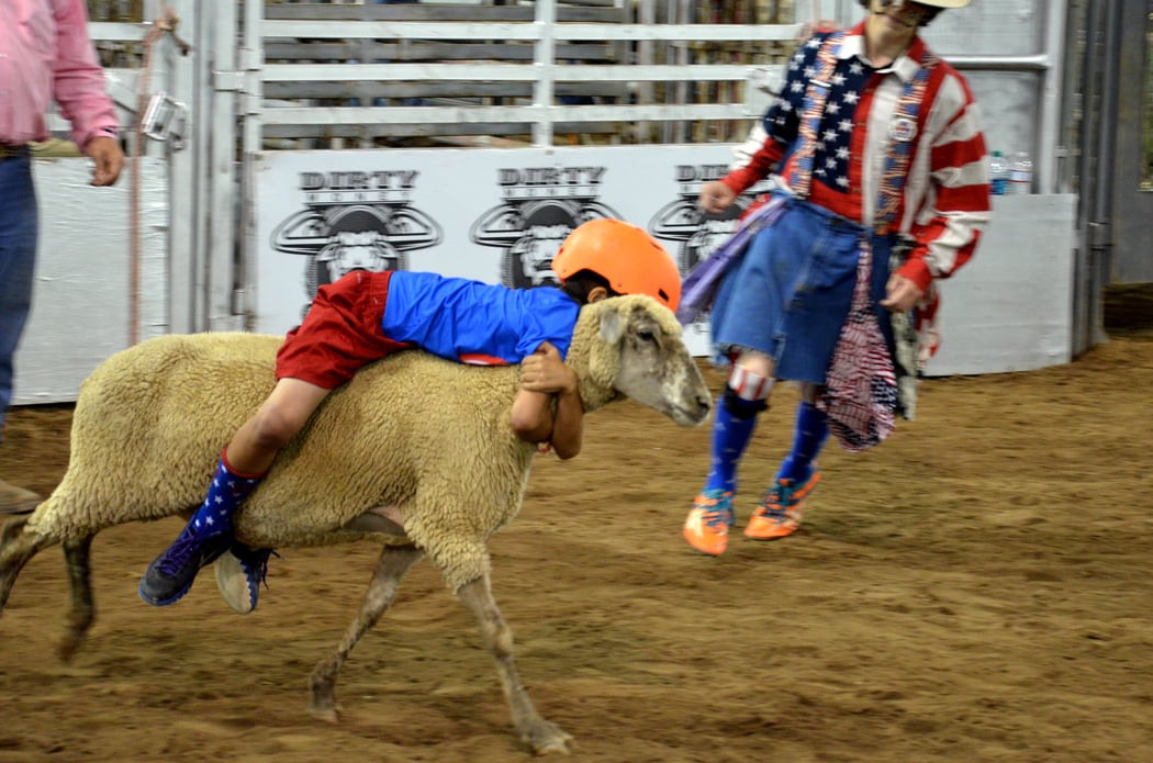 Lerner & Rowe 406 Rodeo 3