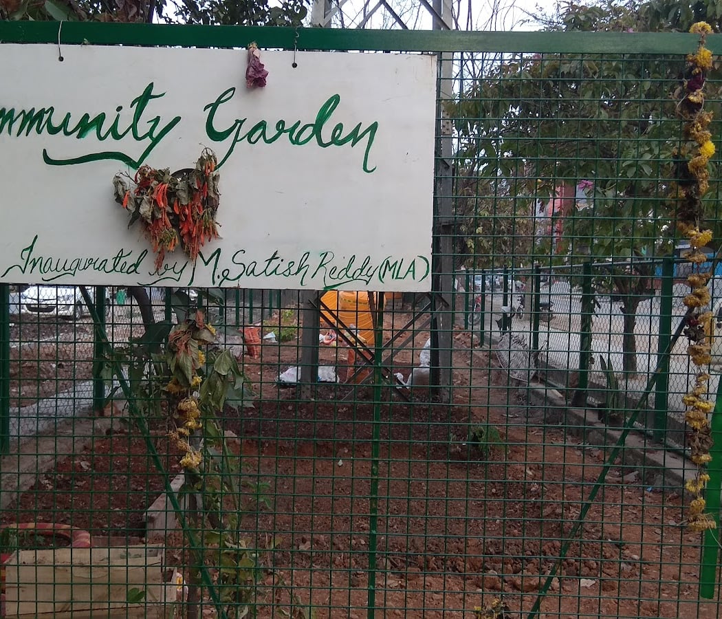 Community Garden 2