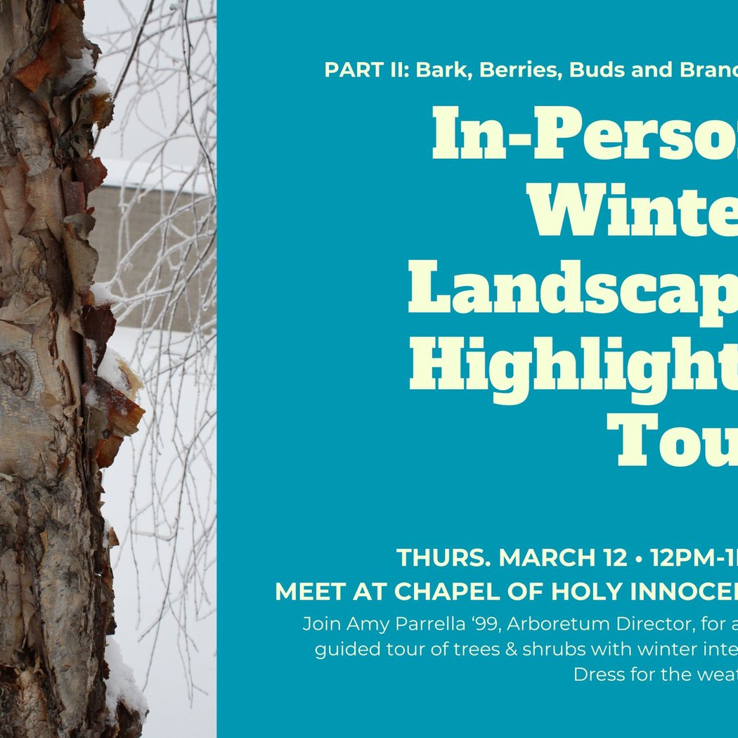 In-Person Winter Landscape Highlights Tour 1