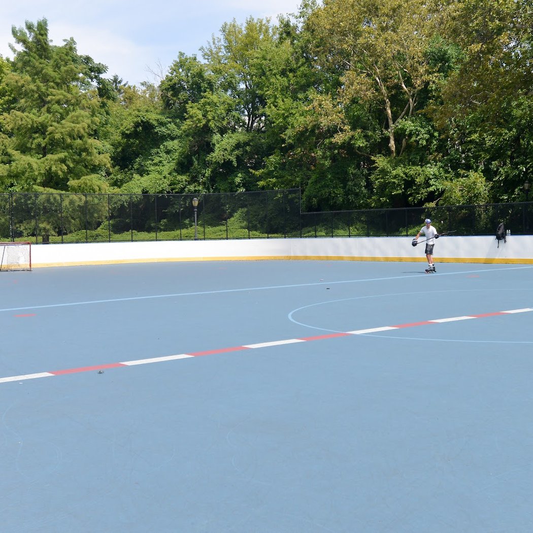 Roller Hockey 2