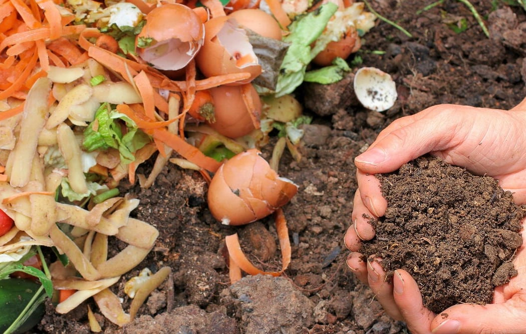 Learn to Compost 1