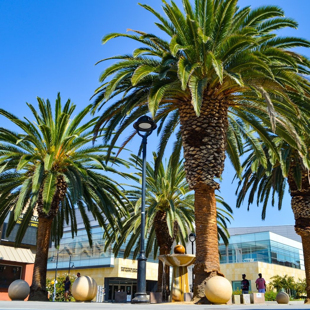 Women's Basketball - San Jose State vs. Cal State Monterey Bay 2