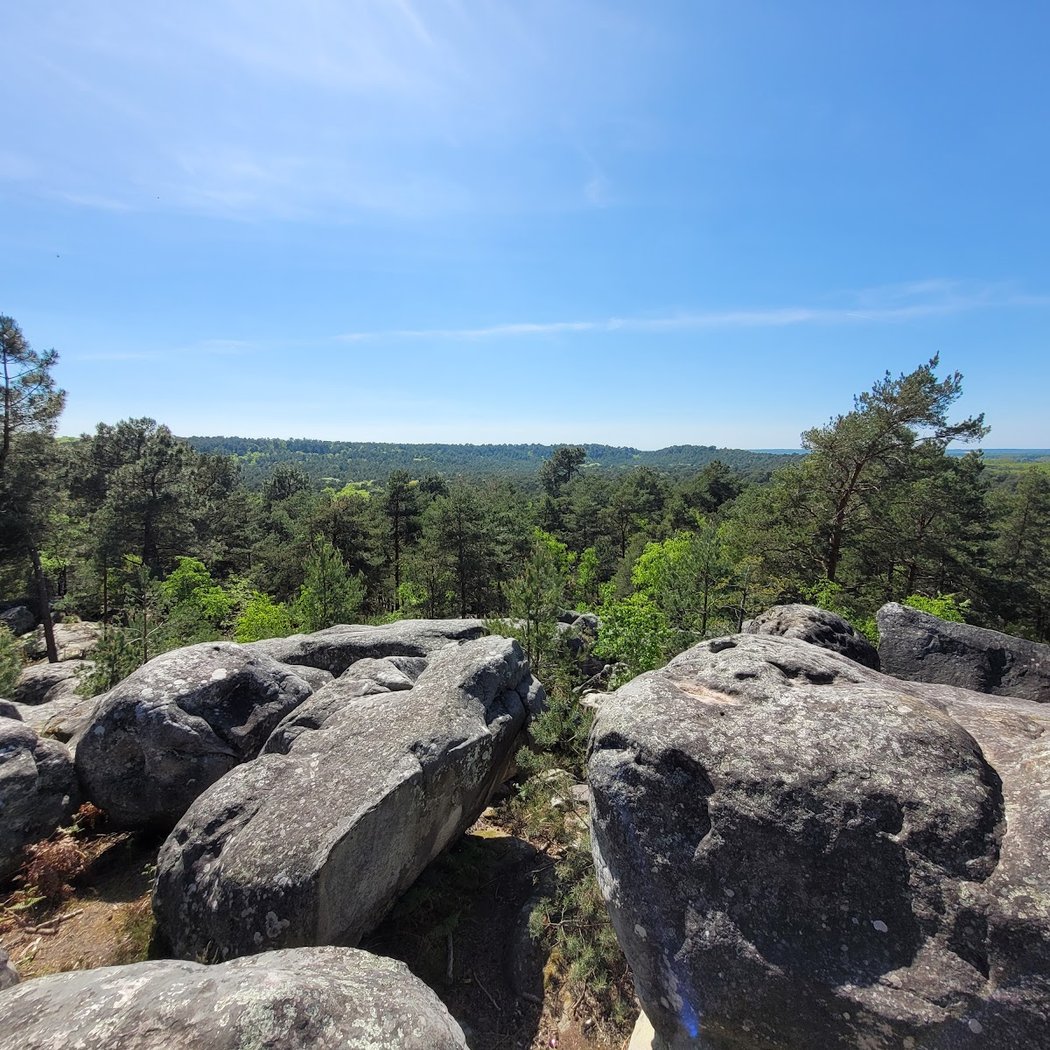 Les Gorges d'Apremont 2