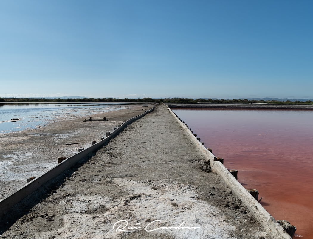 Salinas do Samouco, Fundação para protecção e Gestão Ambiental 3