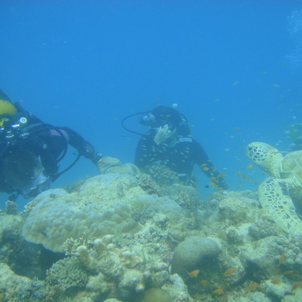 Le Lagon Maoré 2