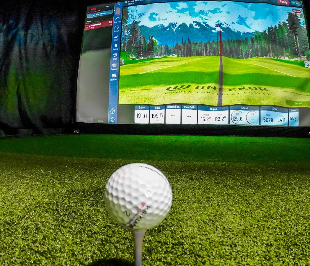Ann Arbor Indoor Golf 1