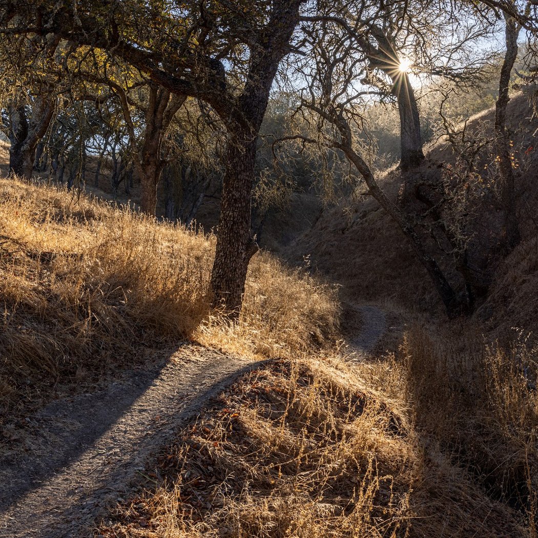 Rockspring Place trail entrance - Shell Ridge 1