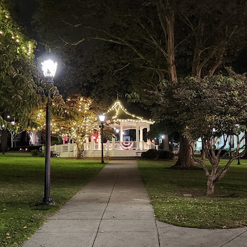 Norwood Common 1