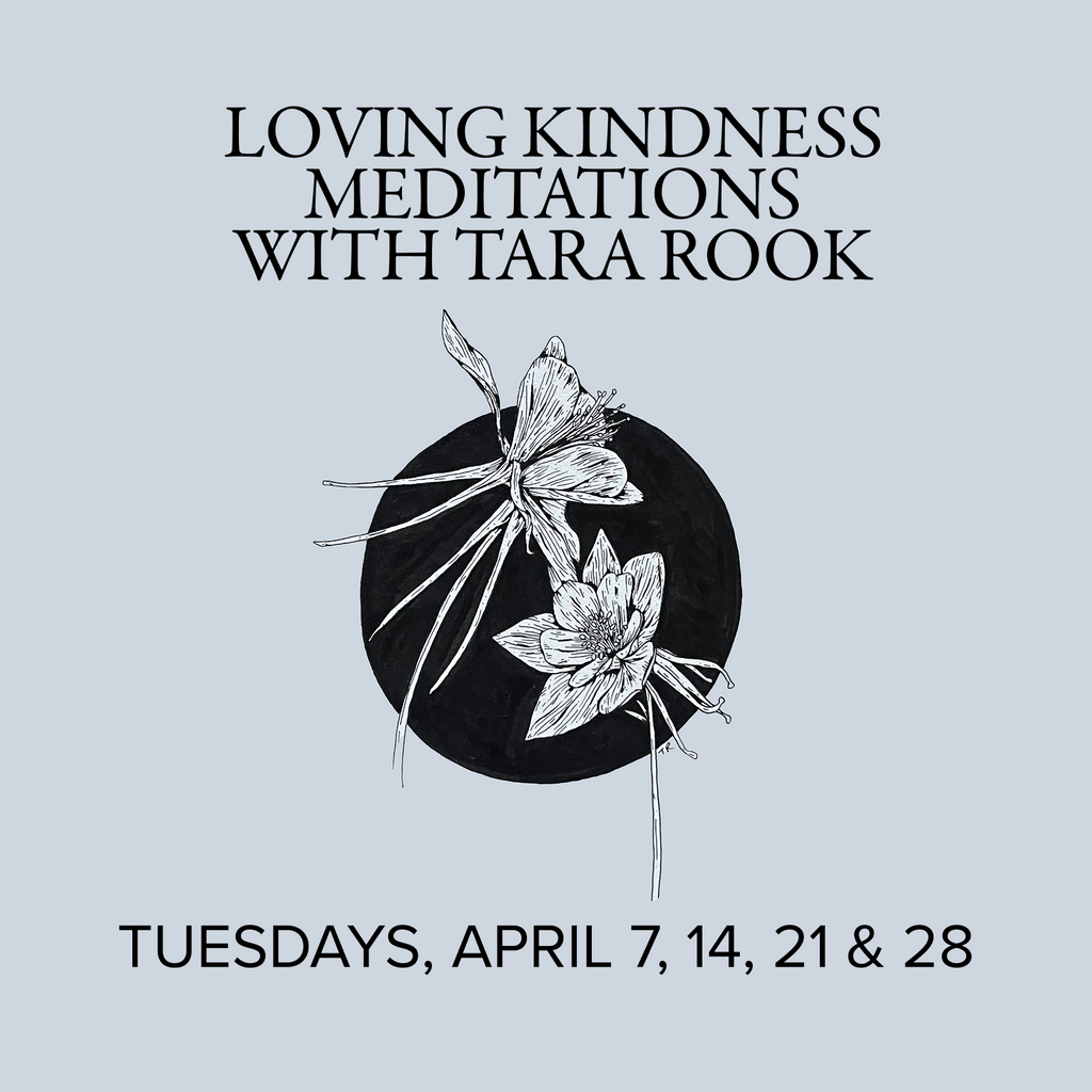 Intro to Meditation: Loving Kindness Meditations 2