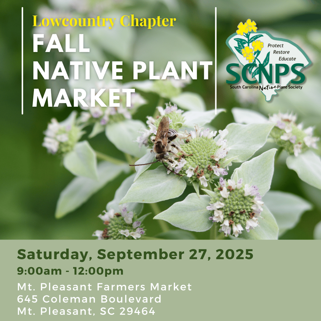 Lowcountry Fall Native Plant Market 1