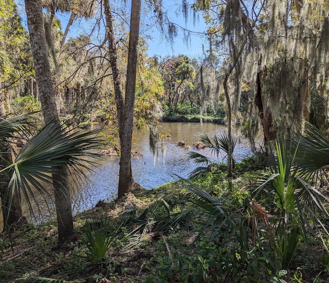 Turkey Creek Sanctuary 3