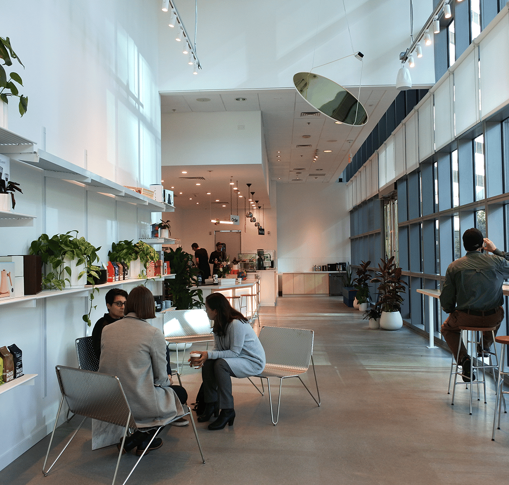 Highwire Coffee Roasters 2