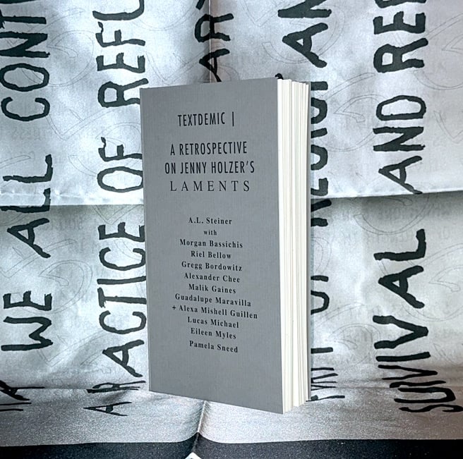 Textdemic: A.L. Steiner and Matilde Guidelli-Guidi in conversation 1